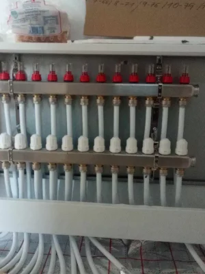 377144259_604521241890254_2142116131557991316_n