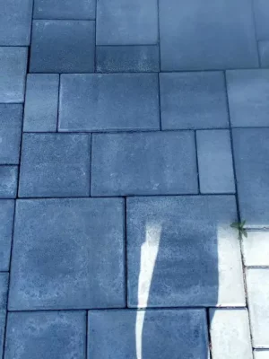 377228068_1758377827931270_5367276486854147494_n