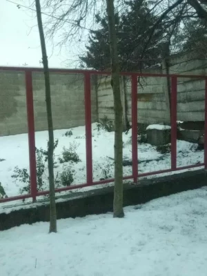 412244964_1748133295665643_5533692886882878777_n